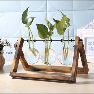 Triple Planter Terrarium